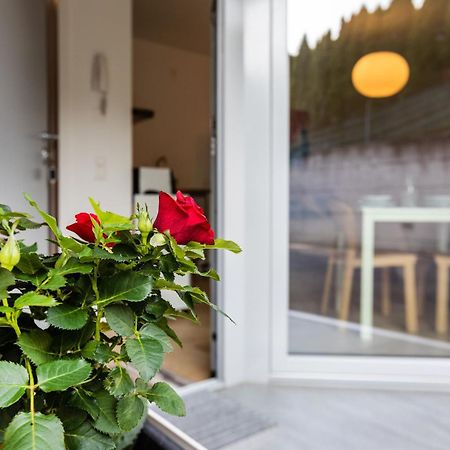 Easy Flat Vezia, Indipendent Entrance, Free Parking Διαμέρισμα Λουγκάνο Εξωτερικό φωτογραφία